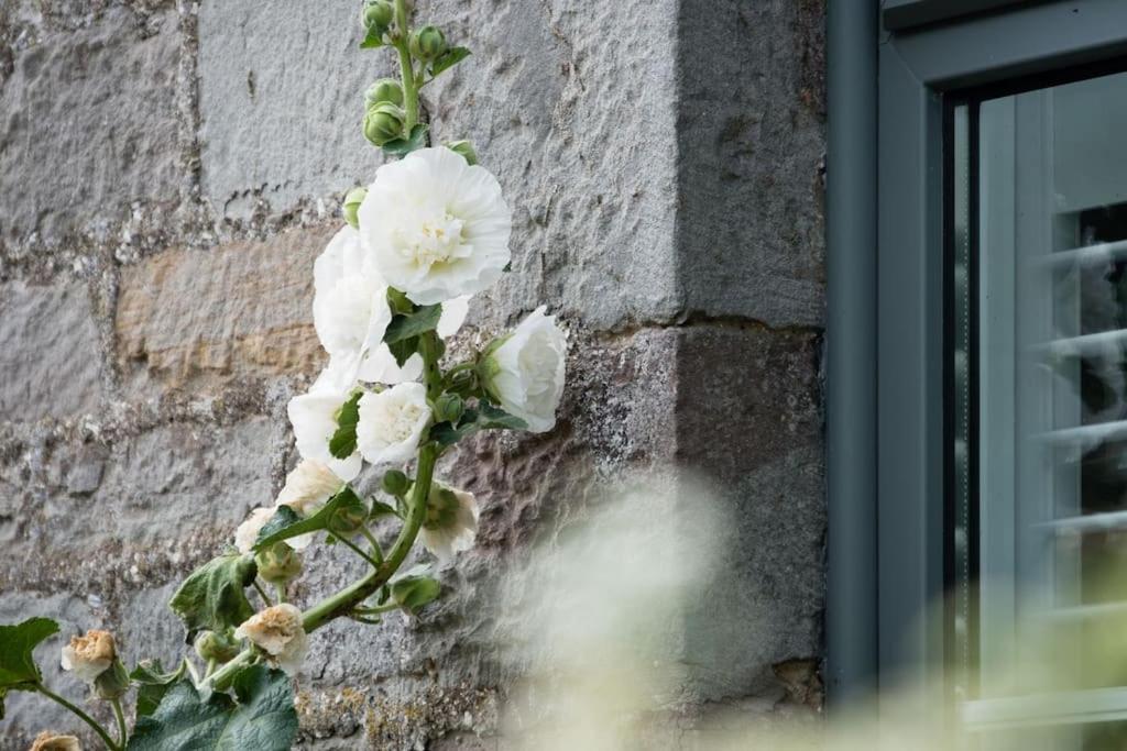 Luxury Cottage Near Hay-On-Wye Llanigon Eksteriør billede